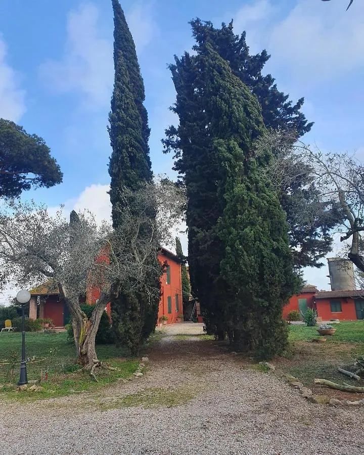 Casetta Degli Ulivi Maccarese Le Cerquete